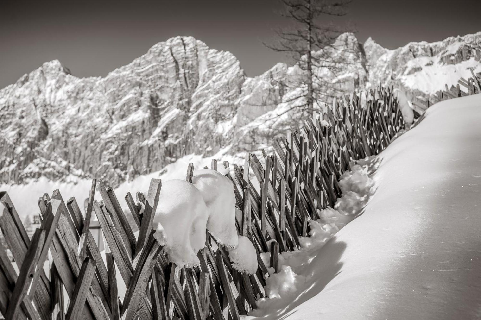 Naturchalet Höflehner Ramsau am Dachstein Exterior foto